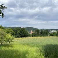 .. mit Rückblicken nach Wilhelmsburg ..