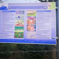 Tiere sagen das Wetter voraus