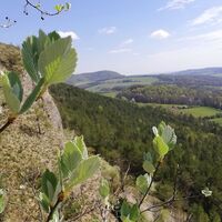 Östlicher Blick vom kleinen Hörselberg bei Eisenach