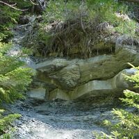 Gipseinlagerungen zwischen den Muschelkalk-Schichten