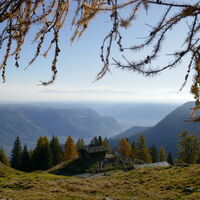 einfach zum genießen