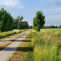 Altmarkrundkurs vor der Hansestadt Werben