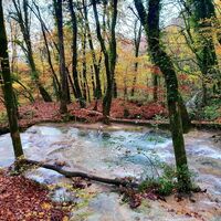 Wasserfall von Clairefontaine