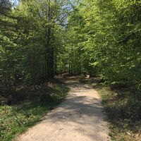 Naturerlebnispfad Hohe Bracht
