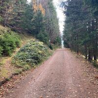 Feldweg vom Urlaubskreuz kommend