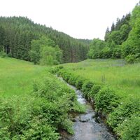 Das wildromantische Köllbachtal bei Hornberg