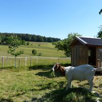 Ziegenglück