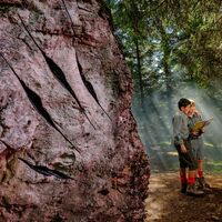 Der Felsen