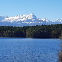 Forstsee