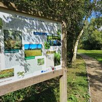 Naturschutzgebiet Etang Saint Ladre Boves