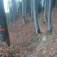Weißn Trail - Nußbach
