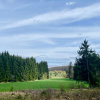 Aussichtspunkt Richtung Aroldshausen - Rundweg Queienfeld
