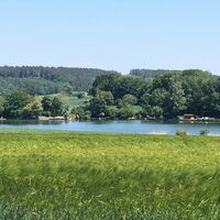 Blick auf den Lausheimer Weiher