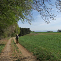 Rückkehr zum Sägmoos.