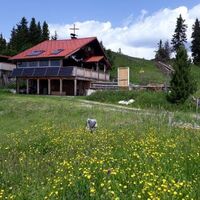 Bei der Scheibenhütte