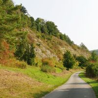 Schwiemelkopf