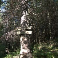 am Aufstiegssteig