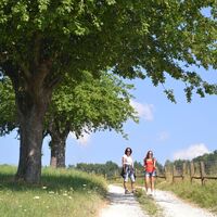 Wandern in der Lipizzanerheimat