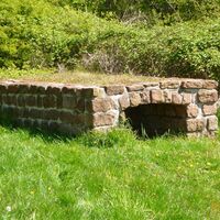 Die rekonstruierte Brechkaut