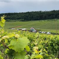 DSGVO NT Flein WeinWiese Weinbergblick