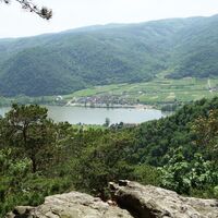 Abstieg zur Ruine Donaublick