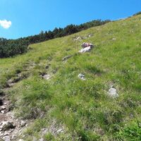 Eindrücke vom Aufstiegsweg - Die Kölblplan