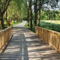 Weg zwischen Glas und Meer