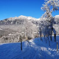 Scheffau_Soell_Kaiserblick-Winterrunde_Forstweg_Heisen_Wilder Kaiser