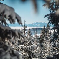 Blick von der Saualpe ins Tal