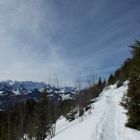 Schneeschuhtrail Schwarzenbühl-Panoramatrail