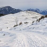 Prostalm und Prostkogel