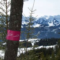 Schneeschuhtrail Schwarzenbühl-Panoramatrail