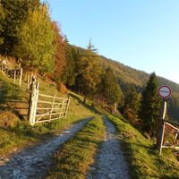 Weg zum Patscha_Naturpark Almenland_Oststeiermark