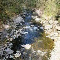 In der Albschlucht.