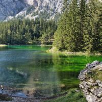 Grüner See