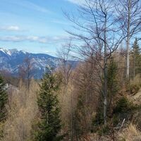 Schneeberg