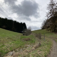 Wanderweg E4 rund um Eimelrod