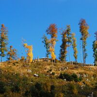 Höllgraben – Durchfall - Donnerwand - Spielkogel