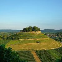 Burgruine Weibertreu | Weinsberg | HeilbronnerLand