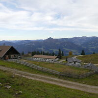 die Bergalm