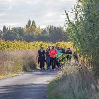 Wanderung durch die Weinberge