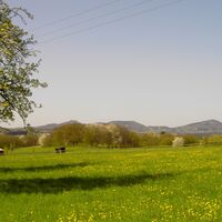 Oberhau