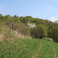 IMG 0148 1