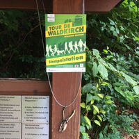 Tour de Waldkirch walking edition