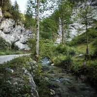 Falkenschlucht-Tour