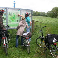 Mittelweser-Region-Radfahren