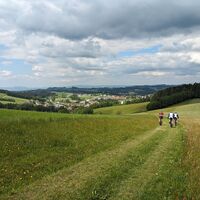 MTB-Strecke_Bad_Zell_(c)_Franz_Kern_(1)