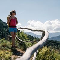 der Weg bei Dromaè