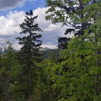 Blick zum Lusen