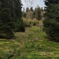 Die ersten 50m des Erbstromtals ab der Quelle